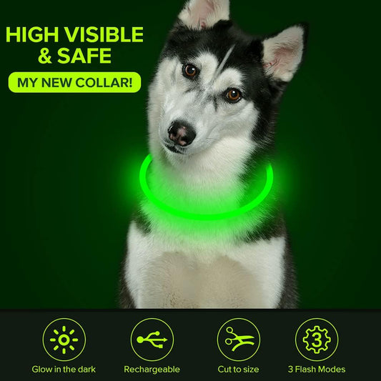 Dog Necklace Collar LED Light
