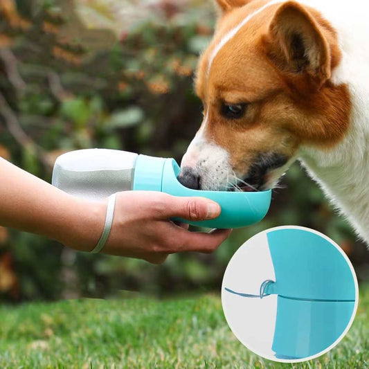 Portable Dog Water Bottle